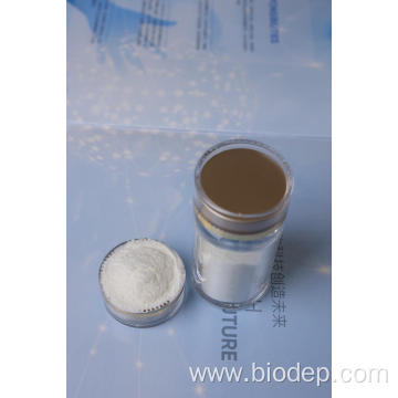 Probiotics Powder Akkermansia Muciniphila 6 Billion CFU/g